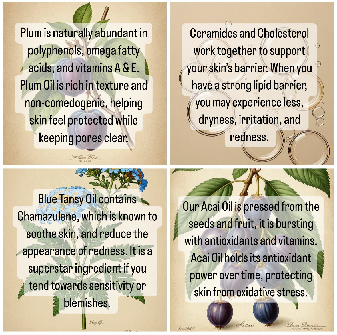 BALANCE. Facial Moisturizer + Cleansing Oil Hybrid.