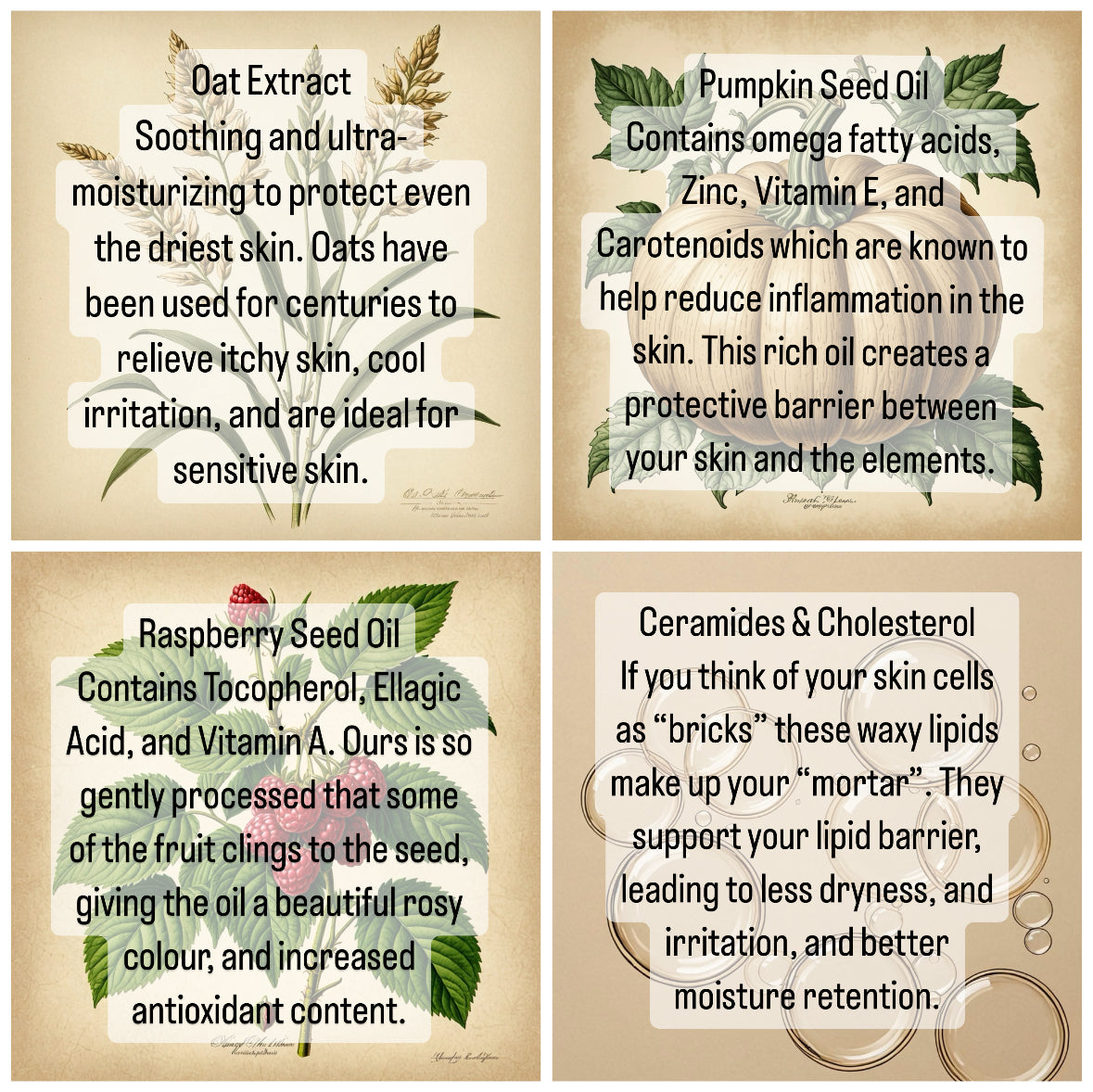 COMFORT. Facial Moisturizer + Cleansing Oil Hybrid.