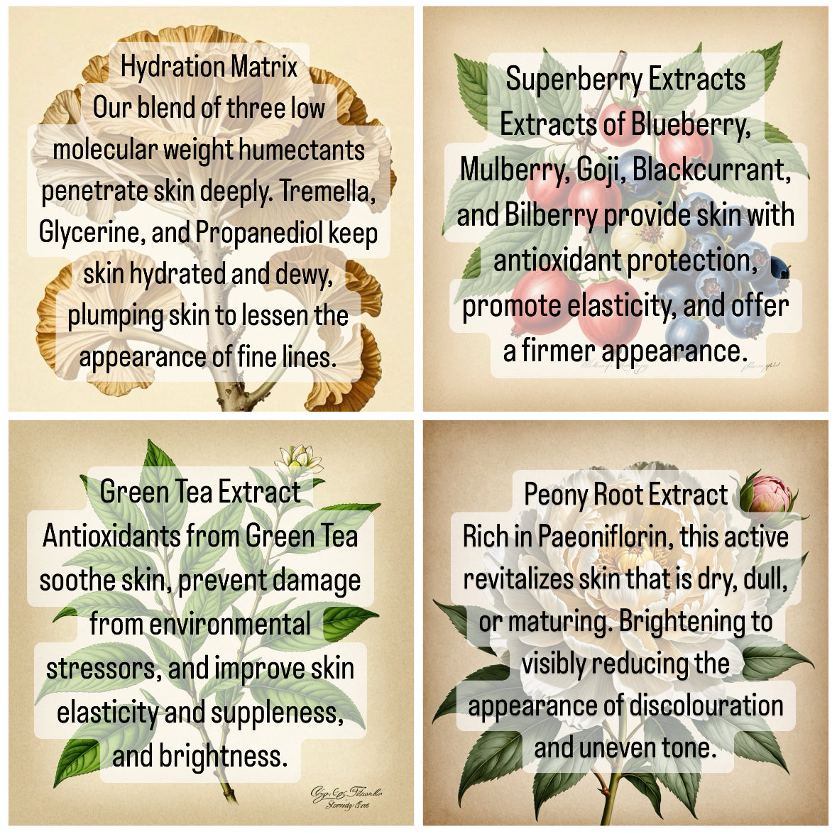 FAIRY FOUNTAIN. Antioxidant Hydration Serum.