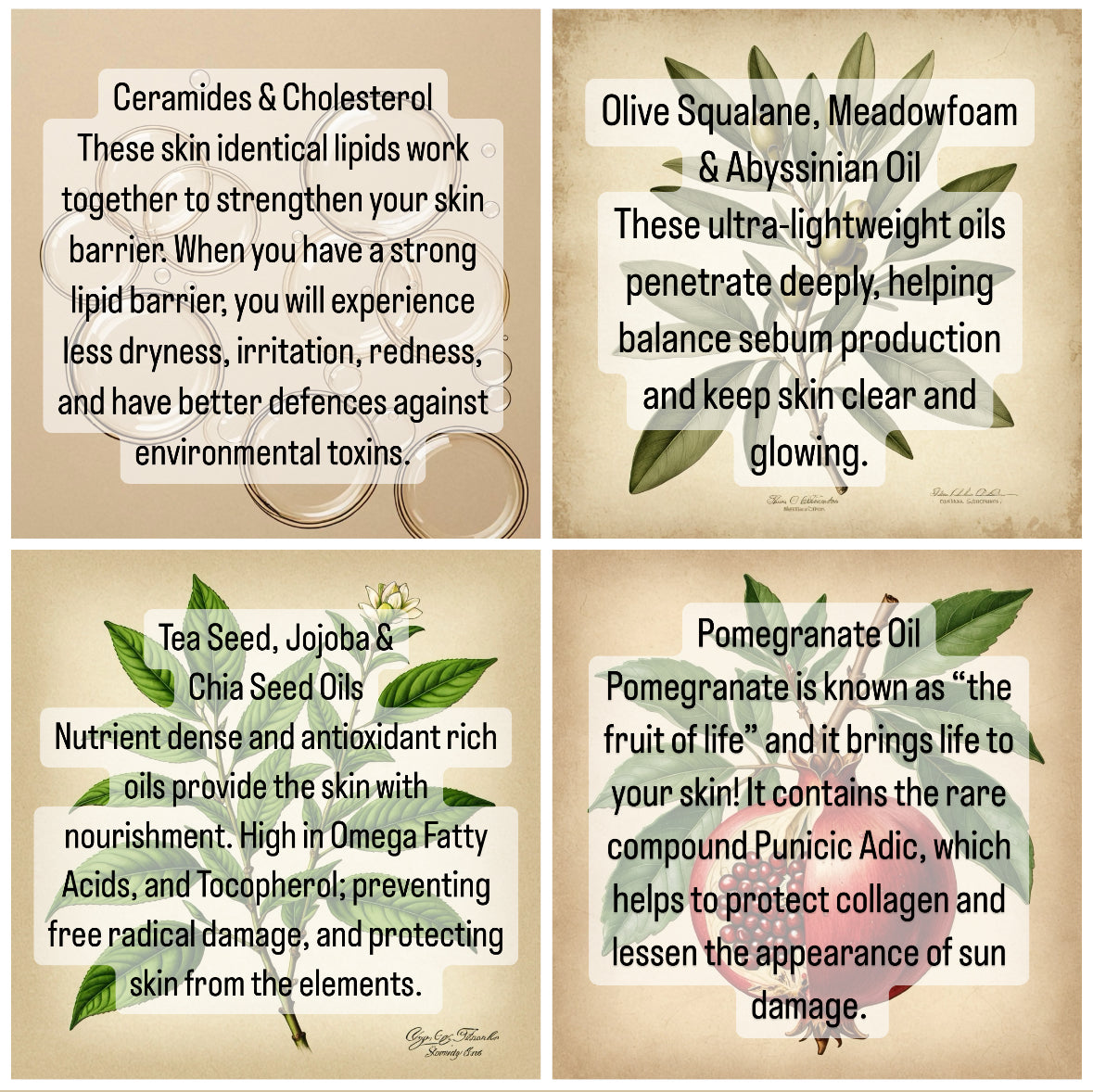 FREEDOM. Facial Moisturizer + Cleansing Oil Hybrid.