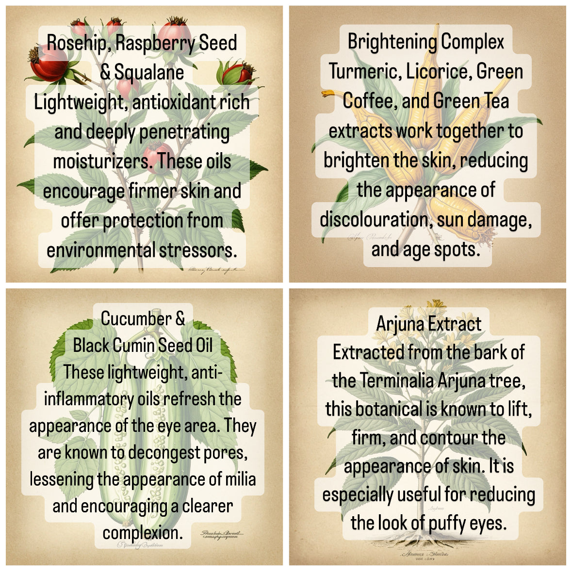 LUMINOSITY POTION. Eye Serum + Brightening Concentrate.