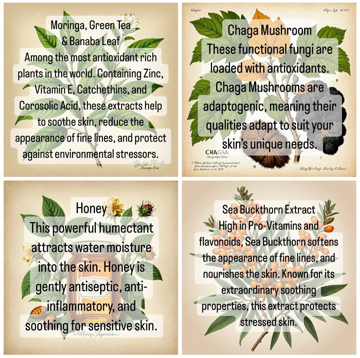 NOURISHMENT Alchemy Mask