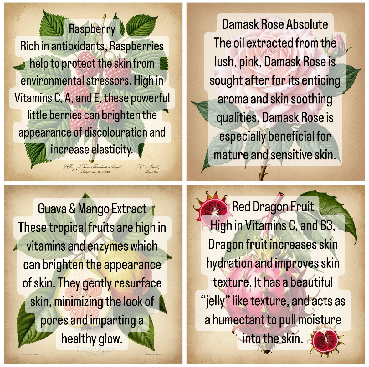 RESILIENCE Alchemy Mask