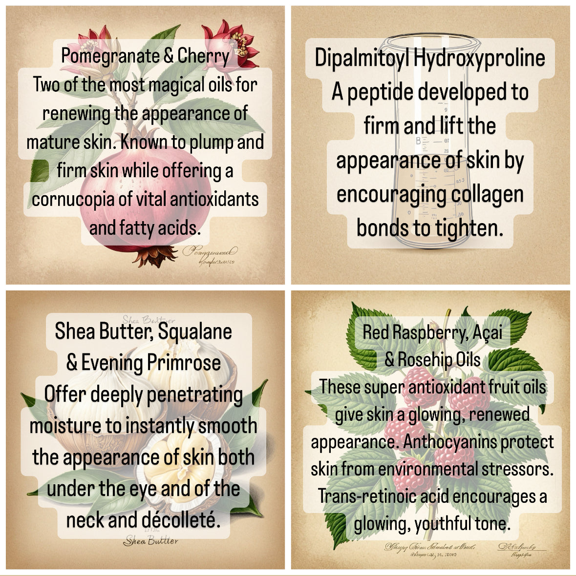 VITALITY POTION. Eye Serum + Firming Concentrate.