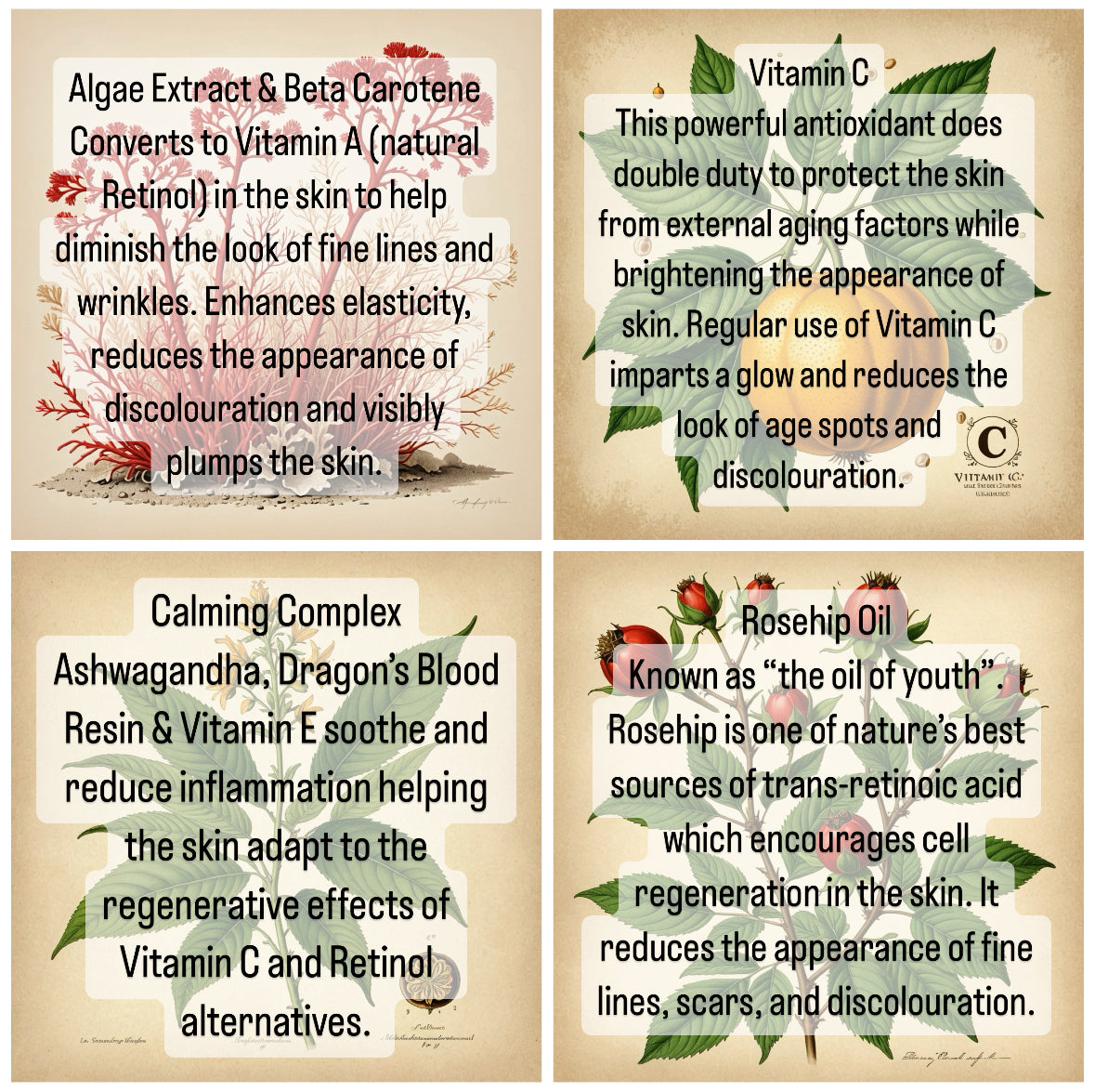 YOUTH. Facial Moisturizer + Cleansing Oil Hybrid.